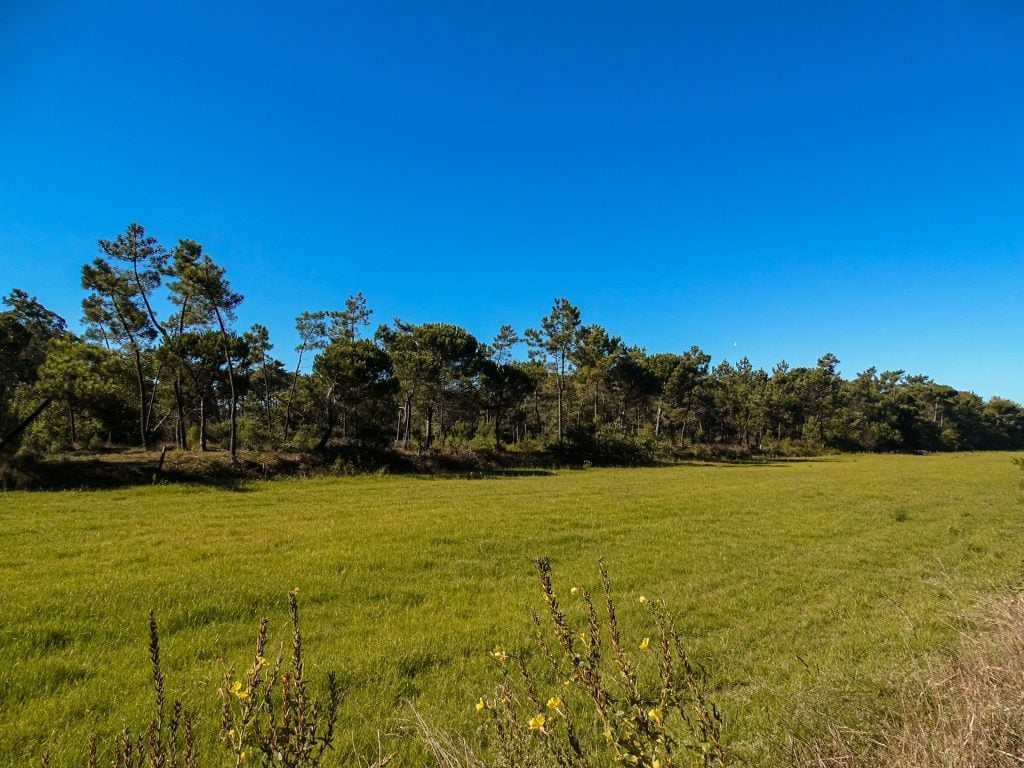 An empty block of Australian land ready to build on